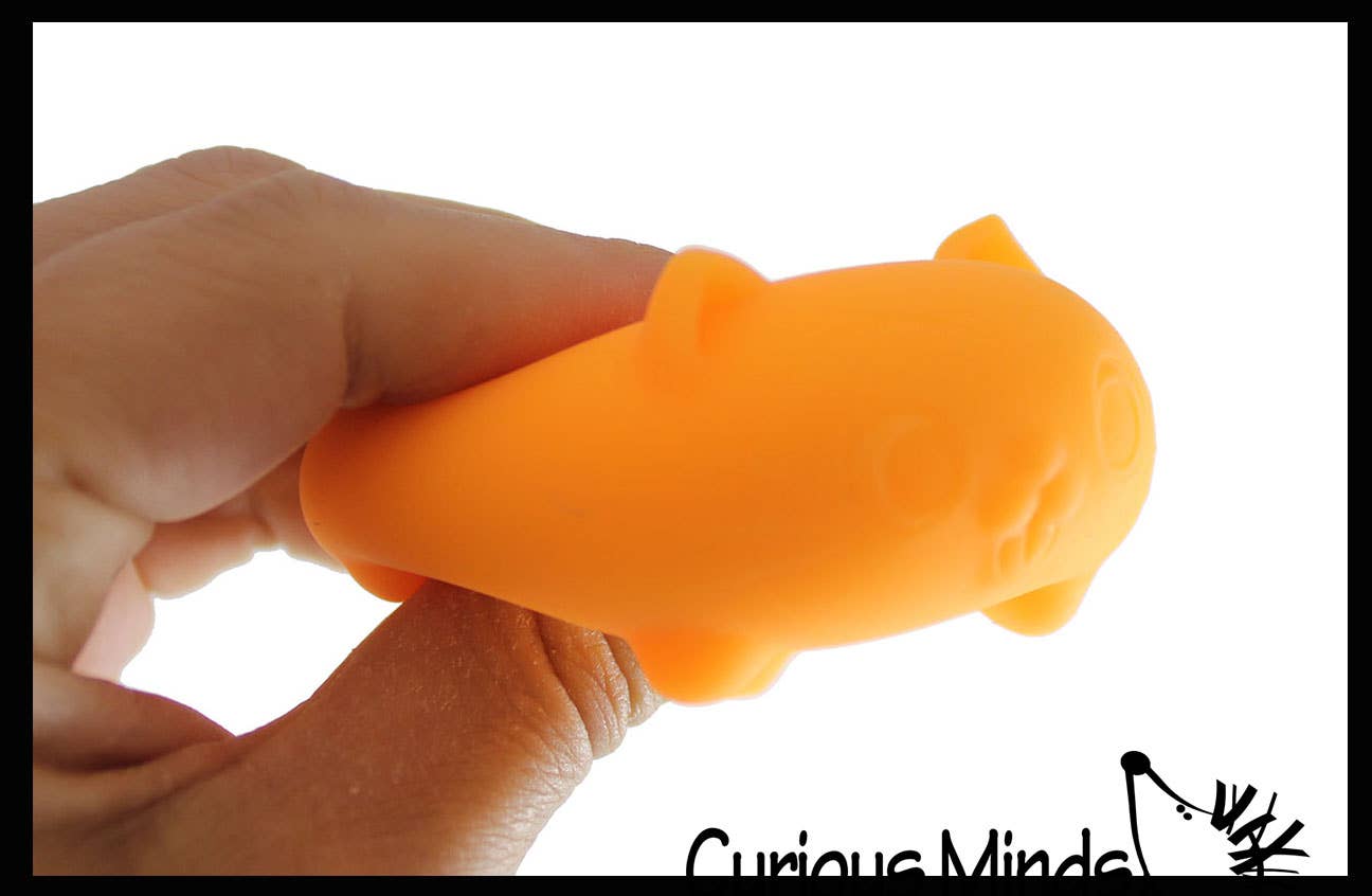 NeeDoh Teenie Cool Cat Groovy Soft Doh Filled Stretch Ball -