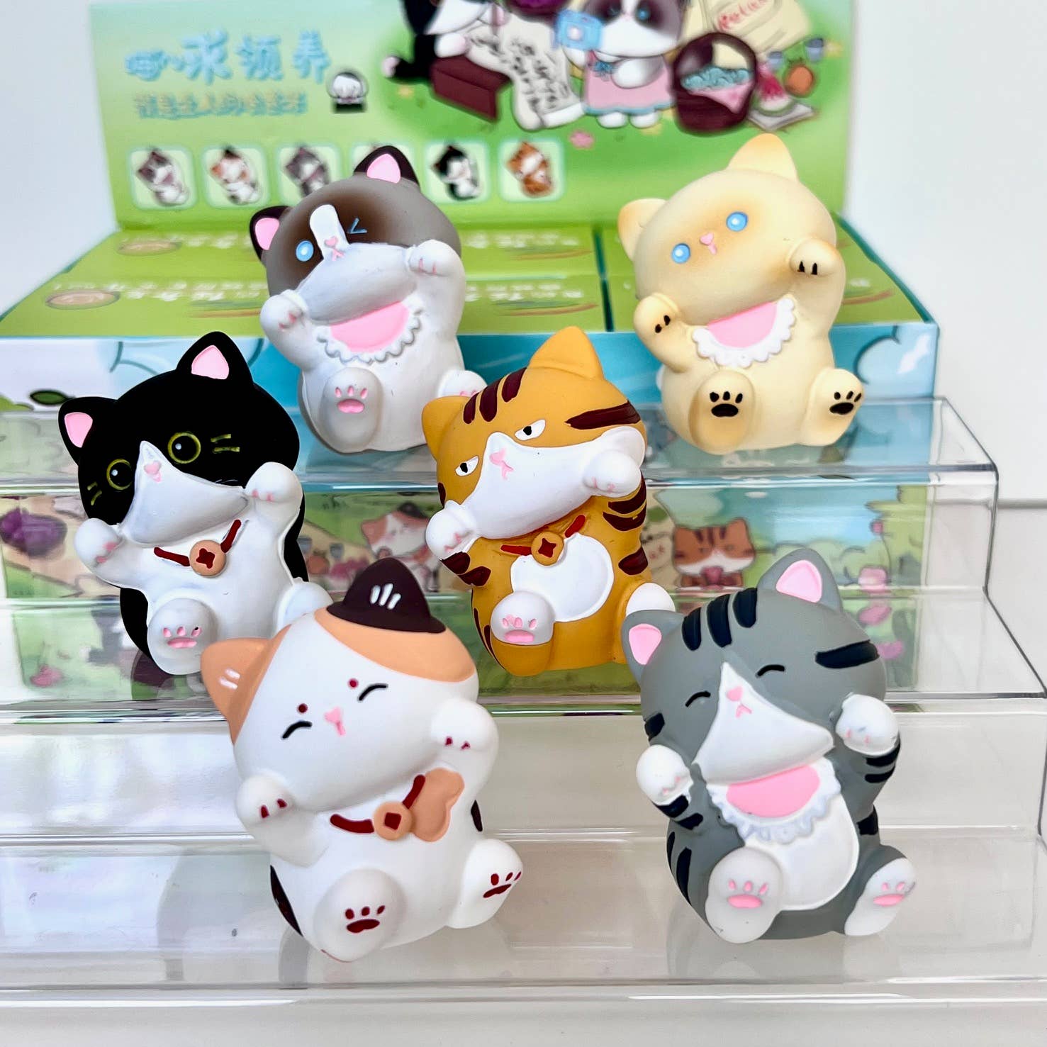 Meow Cat Blind Box