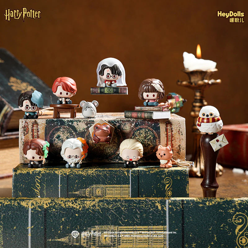 Harry Potter Defense Against the Dark Arts Blind Bag