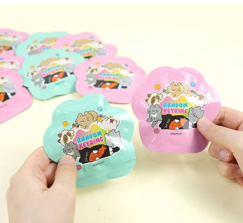 Cat Lover Key Charm Key Ring Random Pack in BOX- Season1