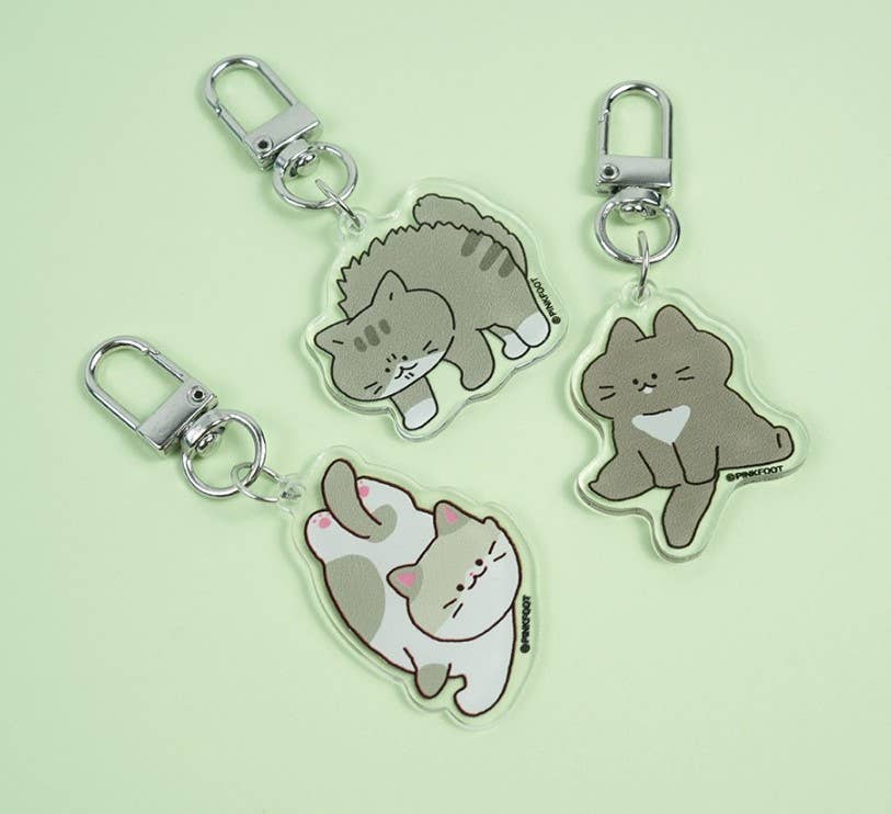 Cat Lover Key Charm Key Ring Random Pack in BOX- Season1