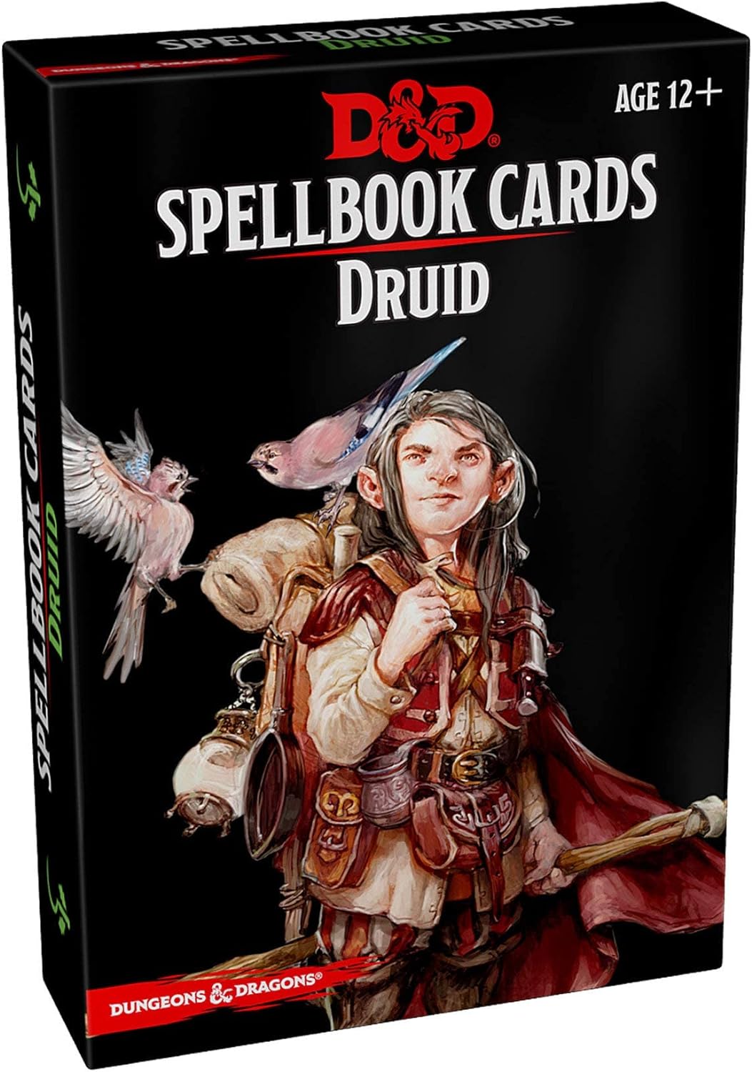 Dungeon & Dragons Spellbook Cards