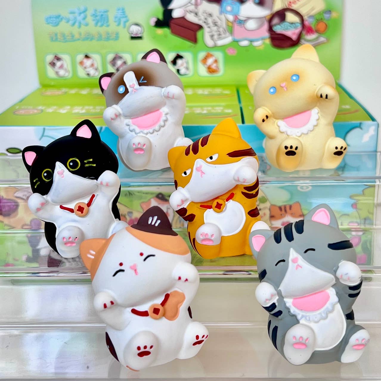 Meow Cat Blind Box