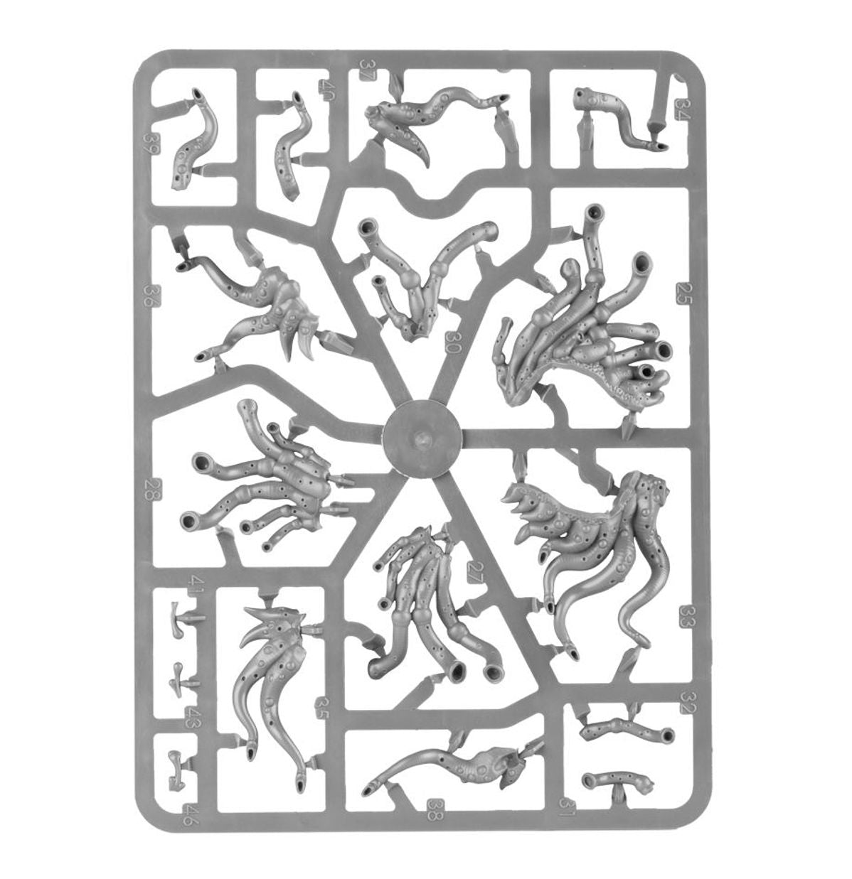 Warhammer Age Of Sigmar Maggotkin Of Nurgle Beast Of Nurgle