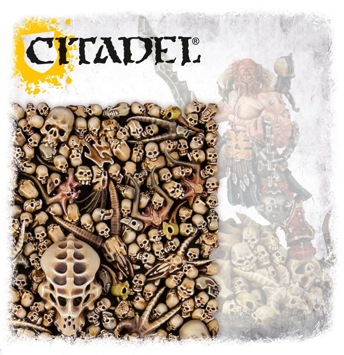 Citadel: Skulls
