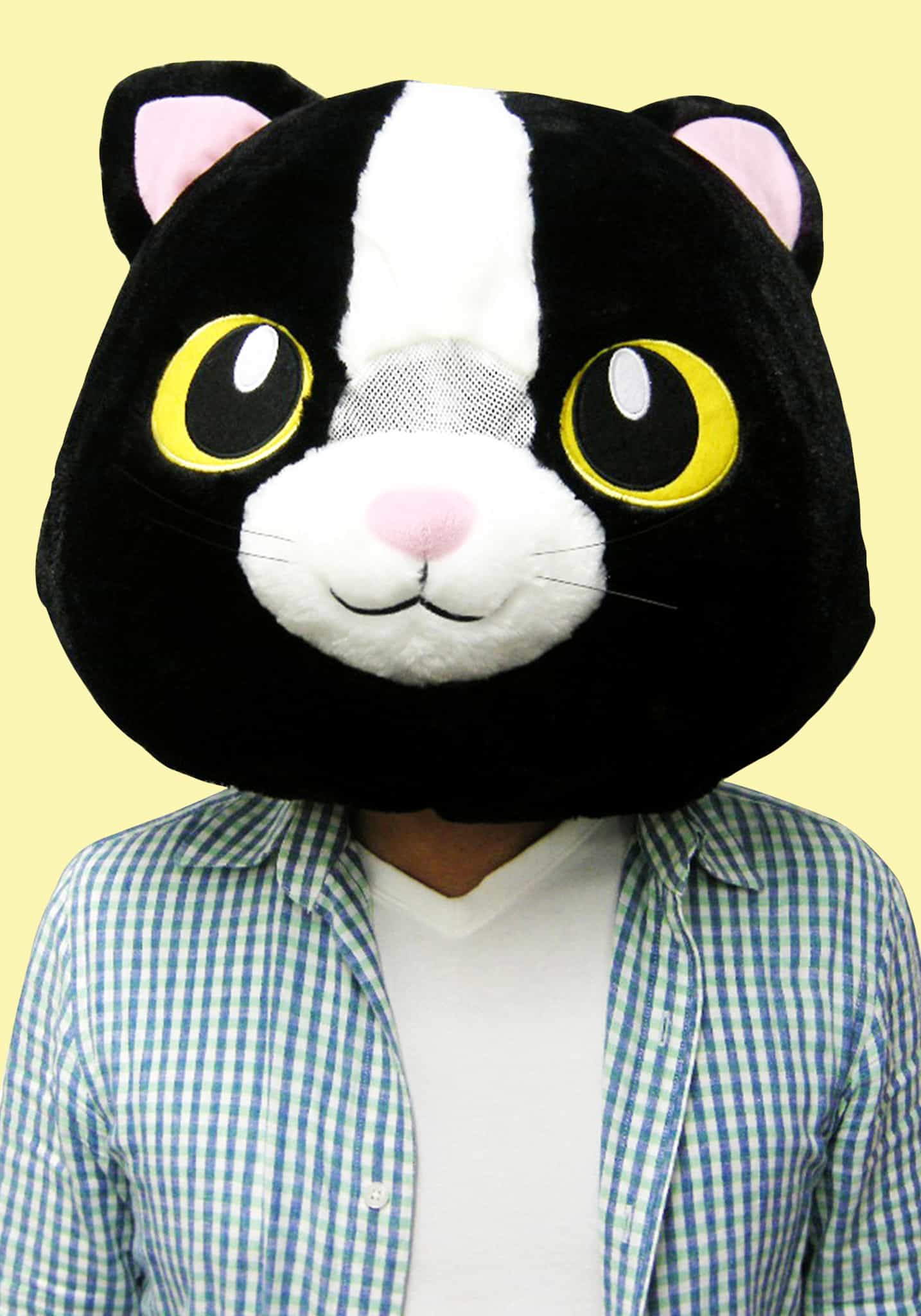 Big Fat Head (Cat)