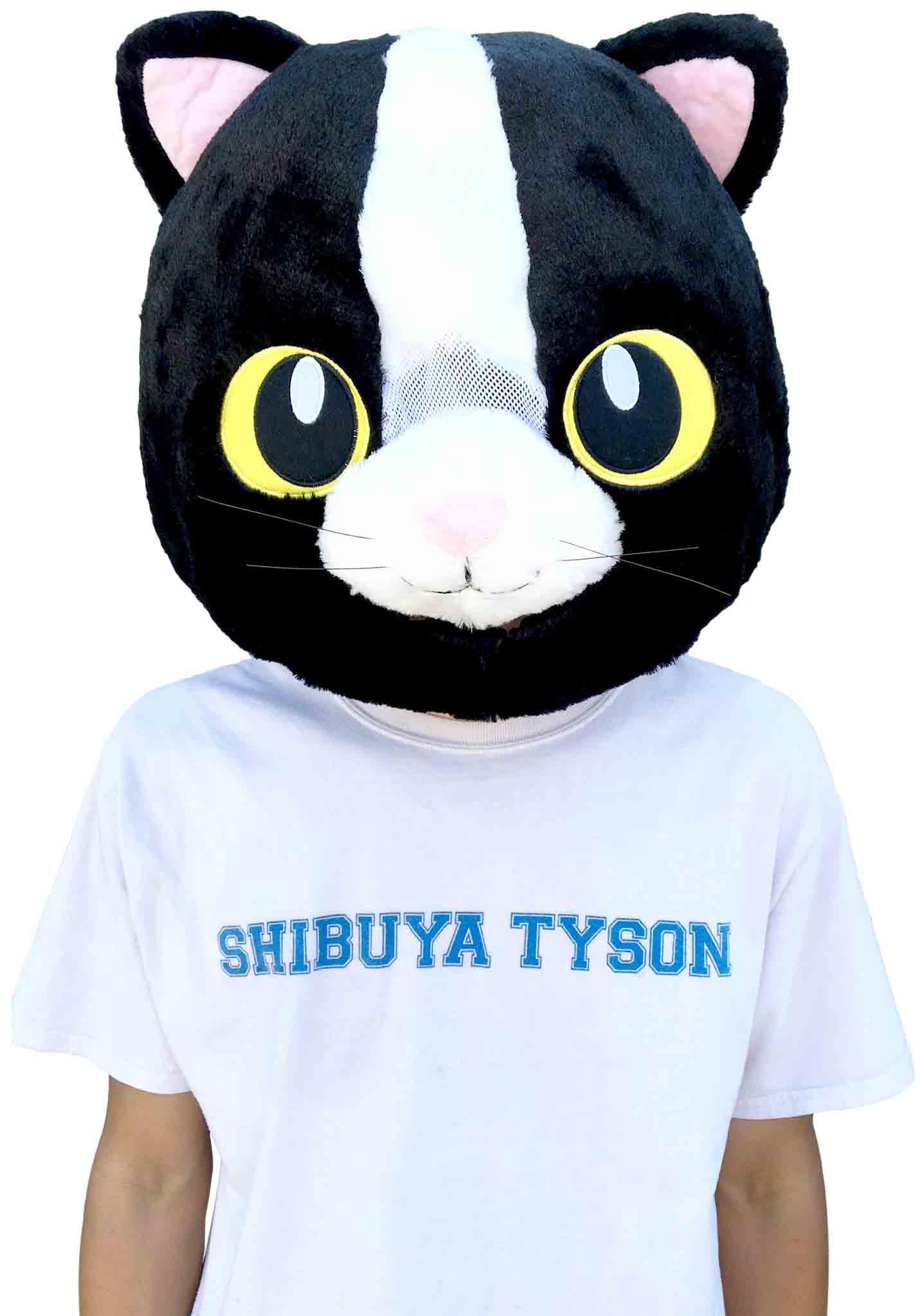 Big Fat Head (Cat)