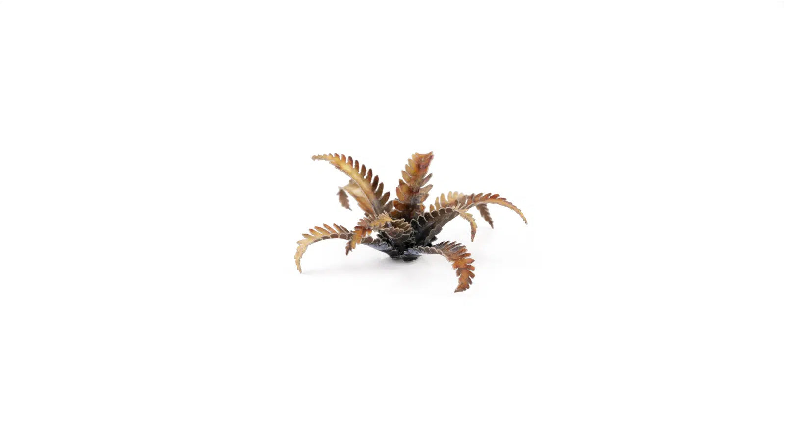 Gamers Grass: Alien Fern