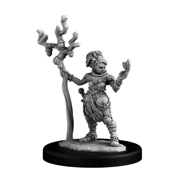 Player Character Set: Halflings Druid & Warlock