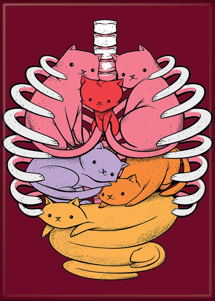 T. Fonseca Anatomicat Magnet