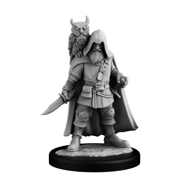 NPC Set: Wizard & Ranger