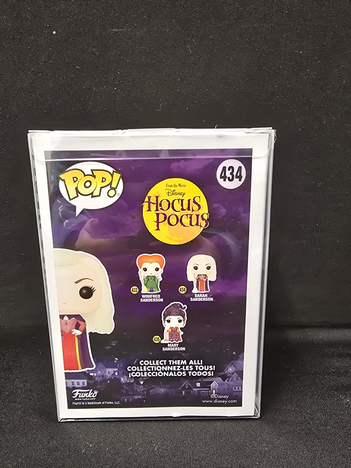 Hocus Pocus - Sarah Sanderson