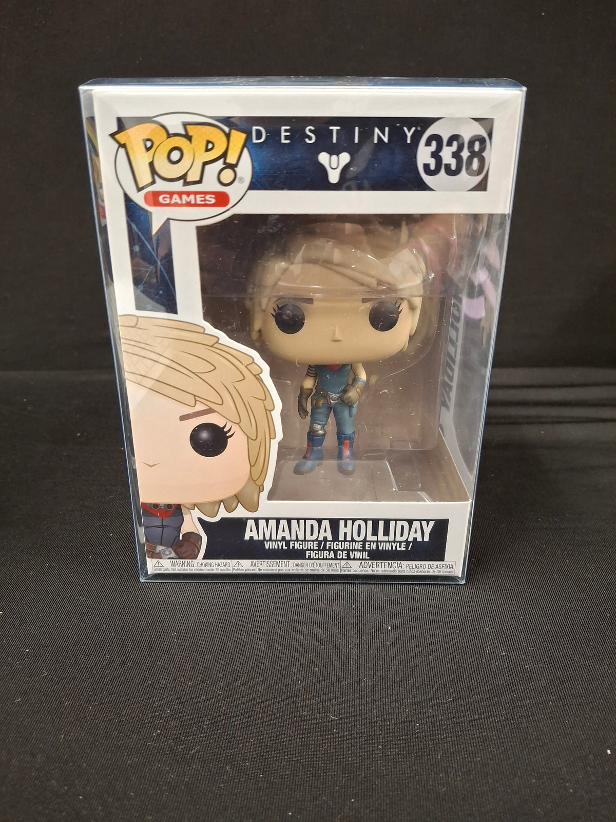 Destiny - Amanda Holliday