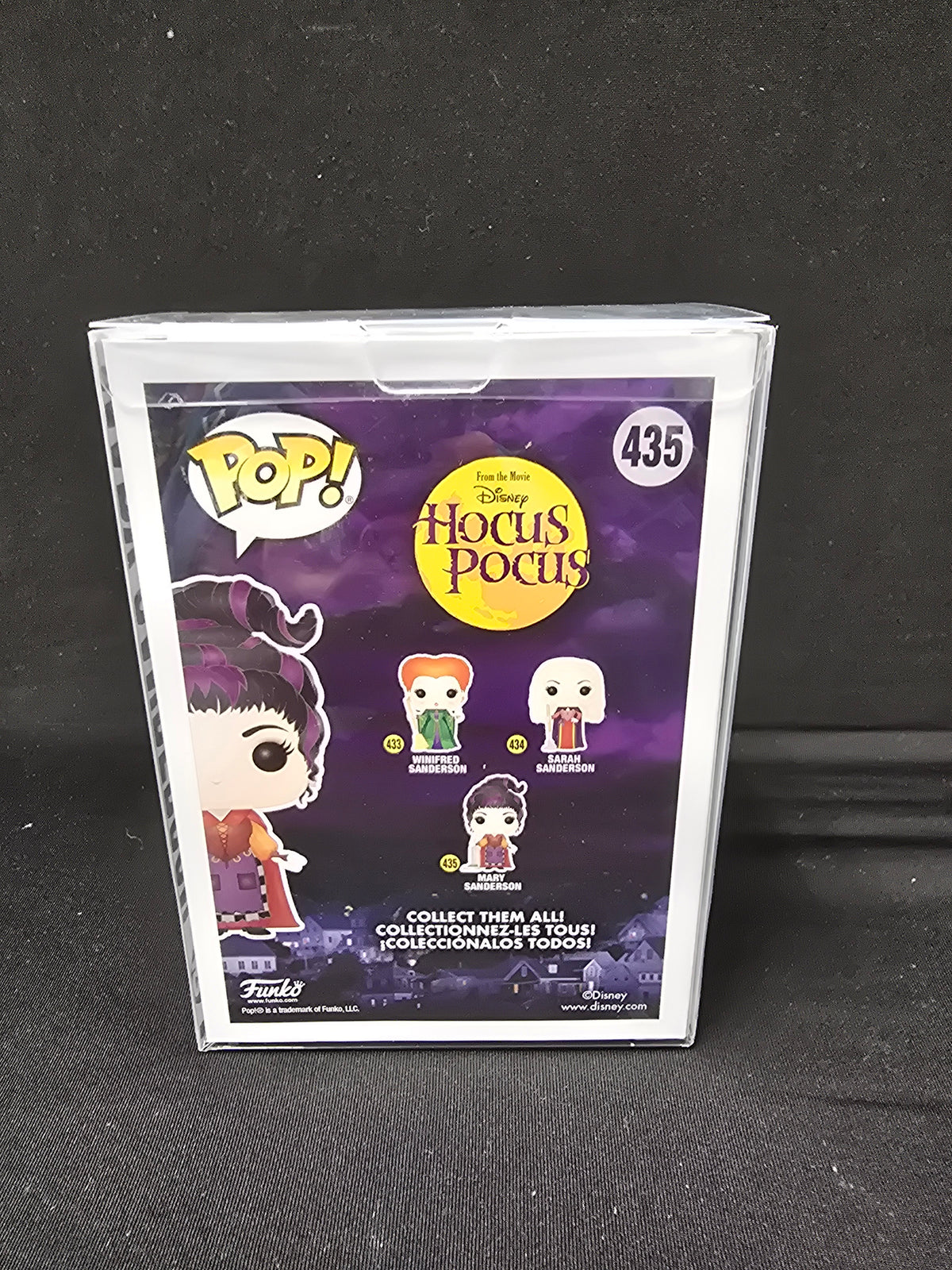 Hocus Pocus - Mary Sanderson