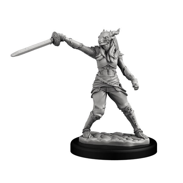Dragonborn Swashbucklers (2)