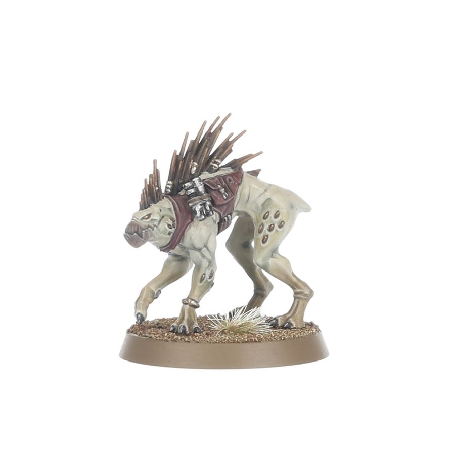Warhammer 40K: Kroot Farstalkers