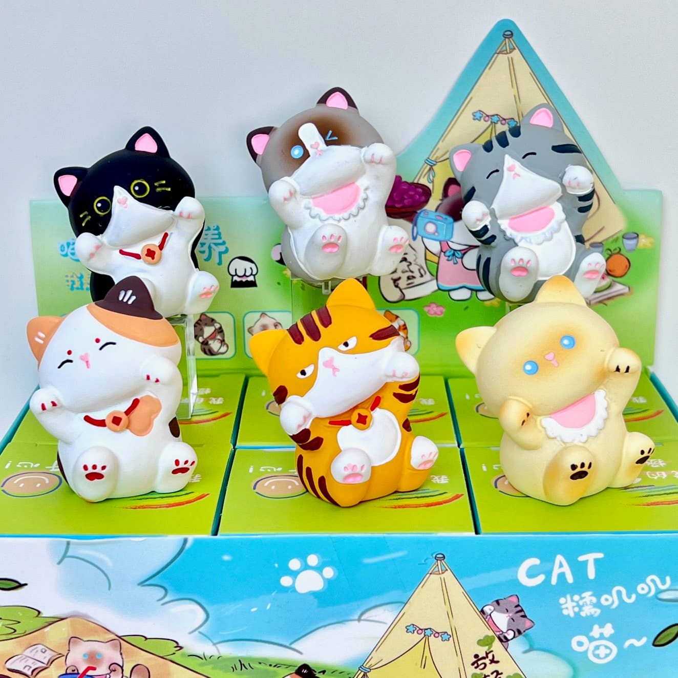 Meow Cat Blind Box