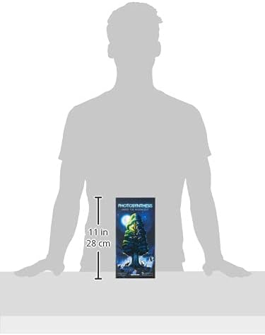 Photosynthesis: Under the Moonlight