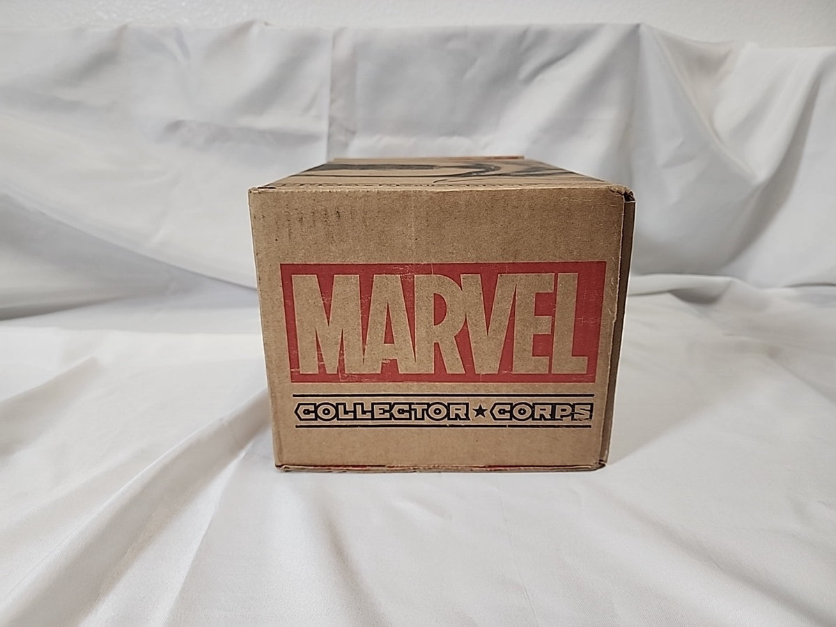 Funko Marvel Collector Corps Villains Subscription Box Complete XL,JJ-B-043