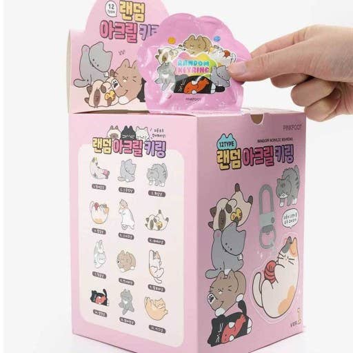 Cat Lover Key Charm Key Ring Random Pack in BOX- Season1