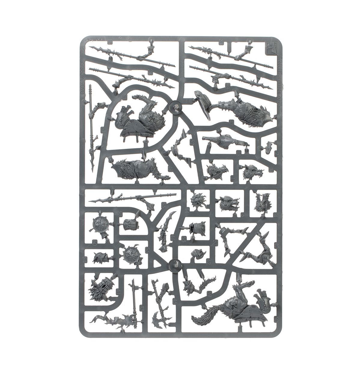 Warhammer Age of Sigmar Spearhead Snarlpack Huntaz