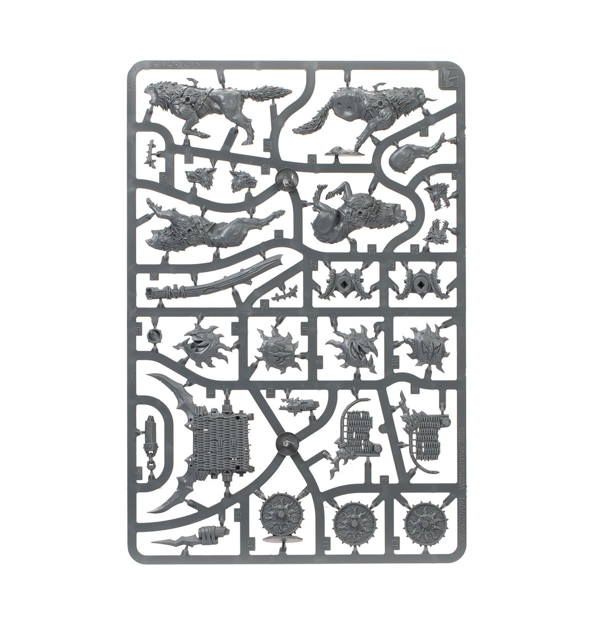 Warhammer Age of Sigmar Spearhead Snarlpack Huntaz