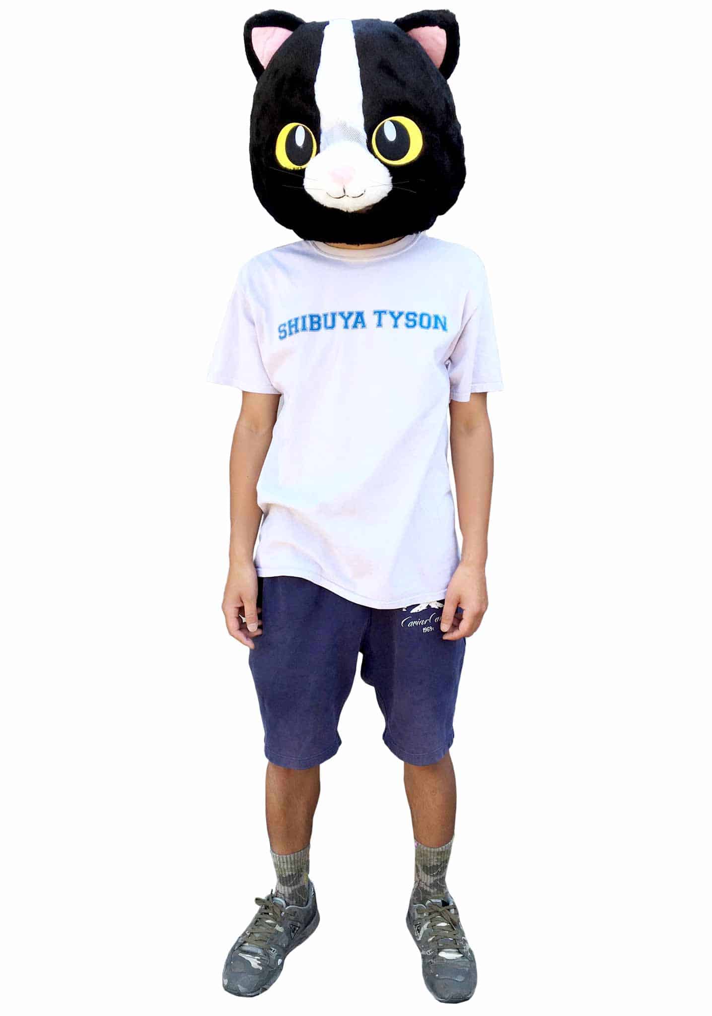 Big Fat Head (Cat)