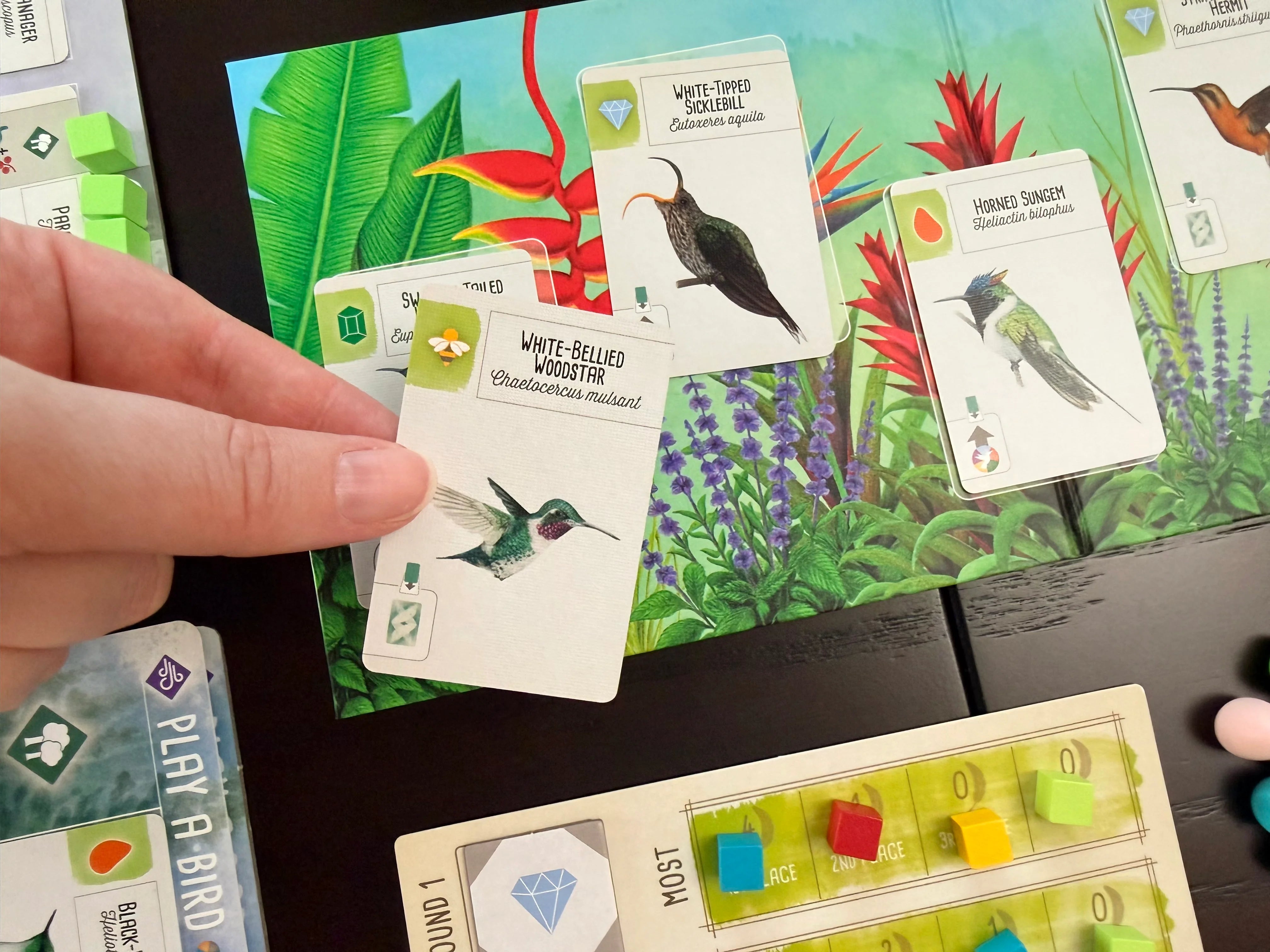 Wingspan Americas Expansion