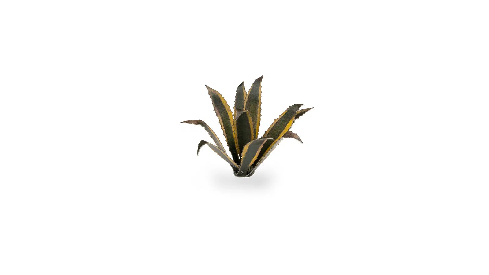 Gamers Grass Agave