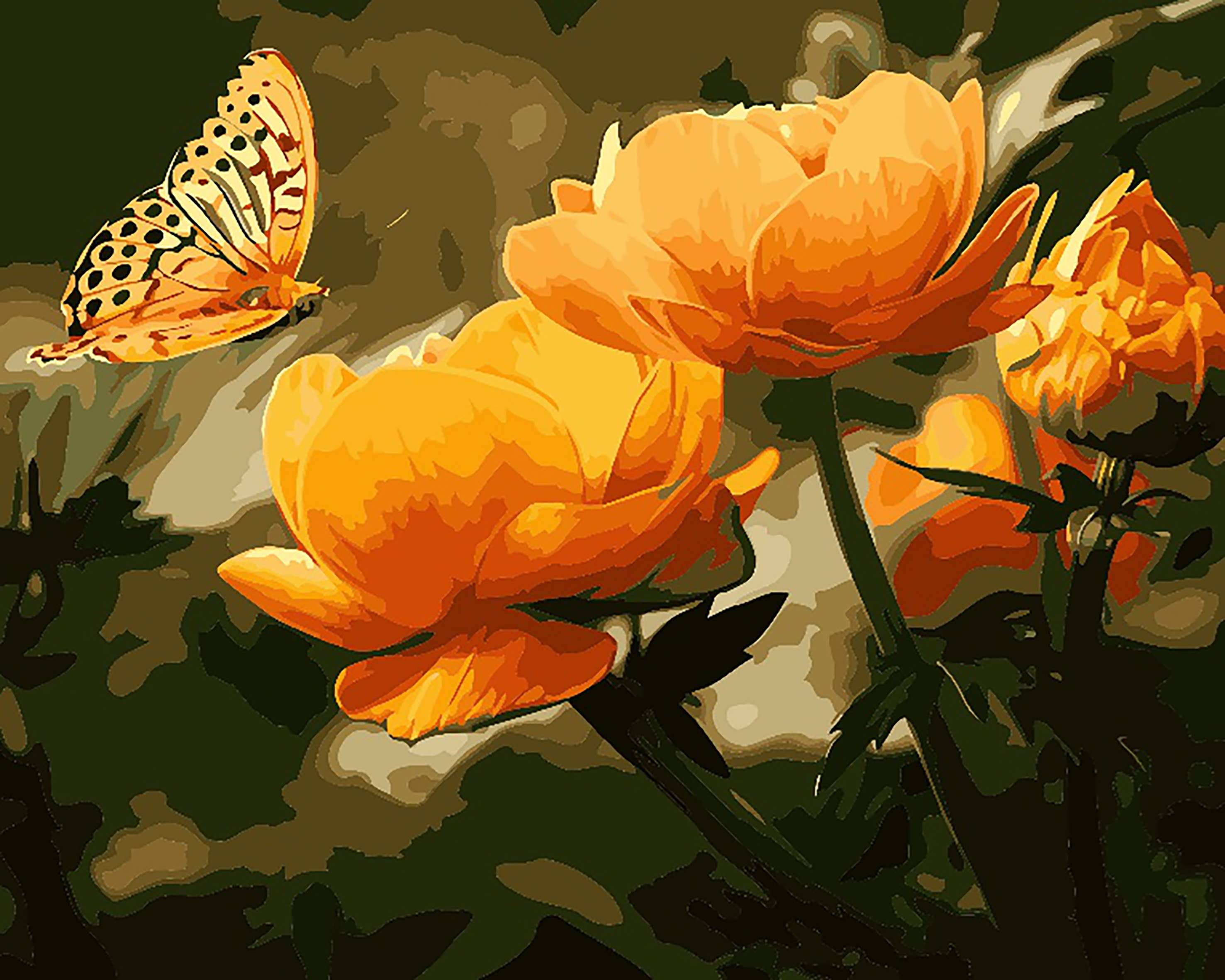 Peach butterfly in the summer - DIY Paint By Numbers Kit