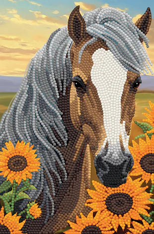 Crystal Art Notebook Kit: Horse