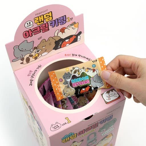 Cat Lover Key Charm Key Ring Random Pack in BOX- Season1