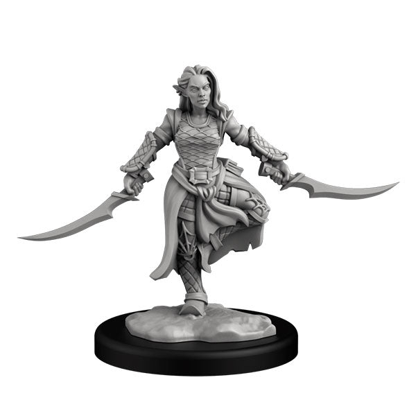 Drow Assassin & Drow Priestess