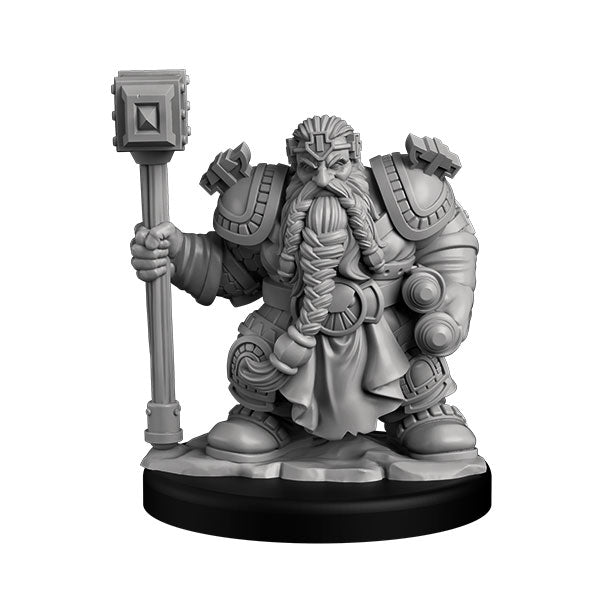 Player Character Set: Dwarf Paladin & Fighter