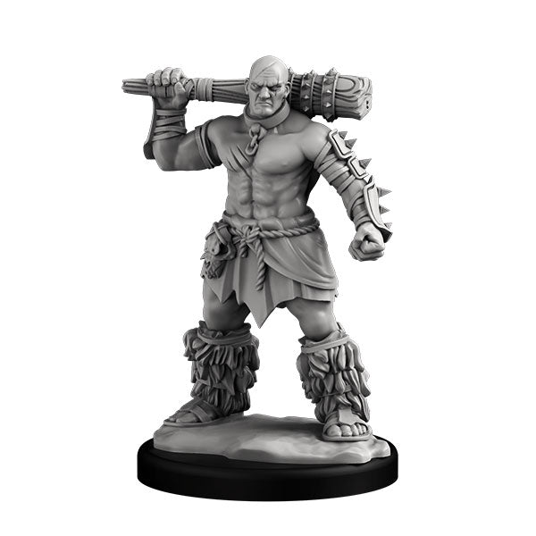 Player Character Set: Human Barbarians