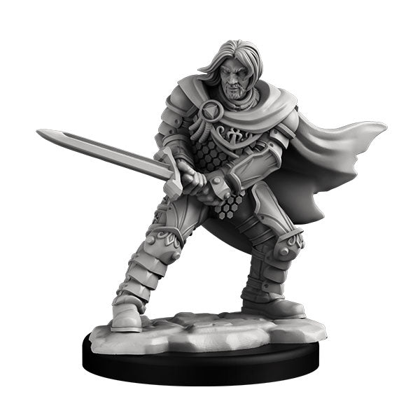Player Character Set: Human Rogue & Warrior