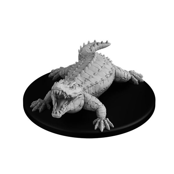 Crocodile