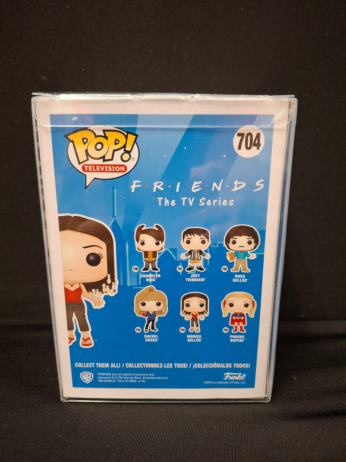Friends The TV Series - Monica Geller