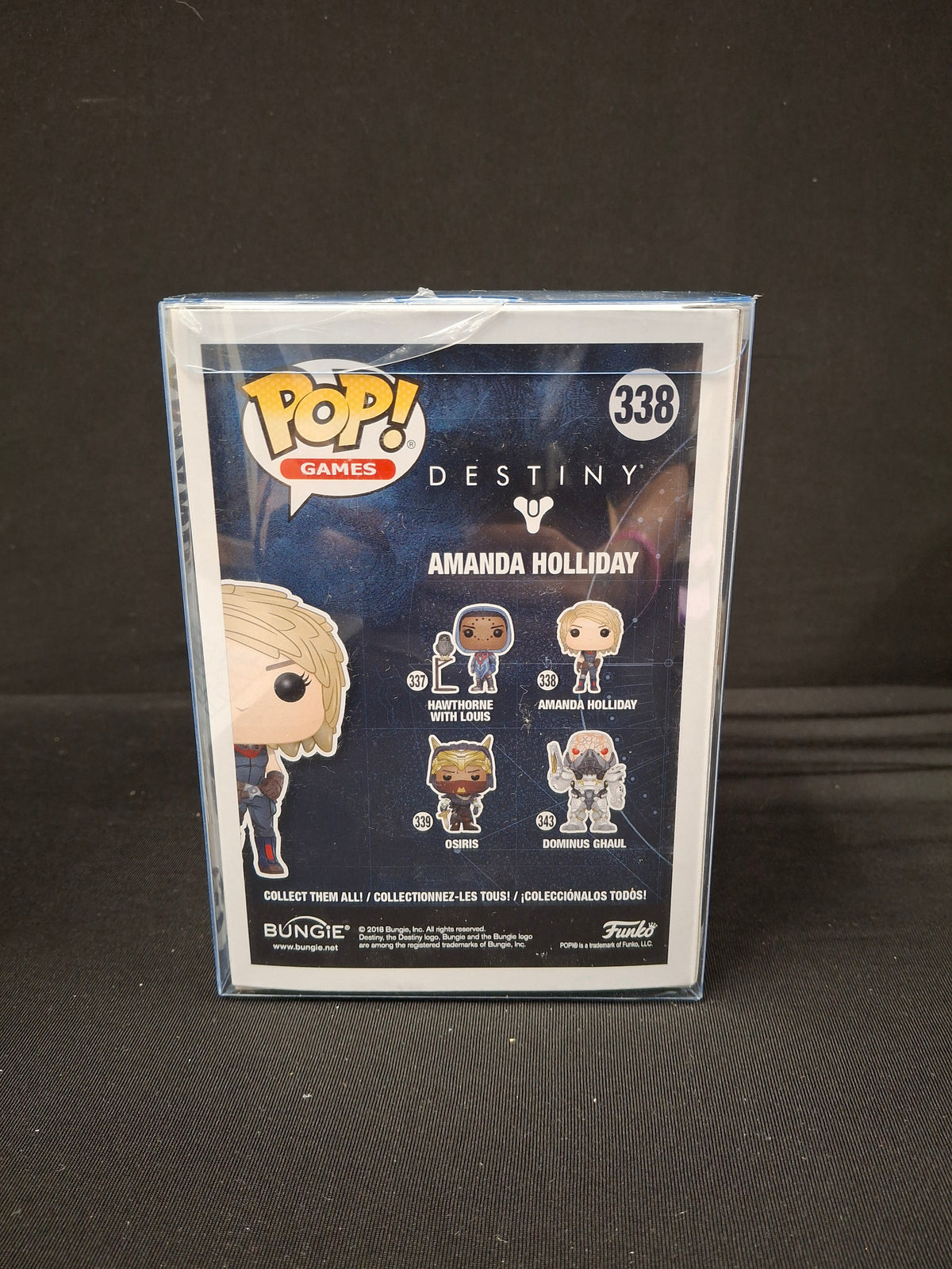 Destiny - Amanda Holliday