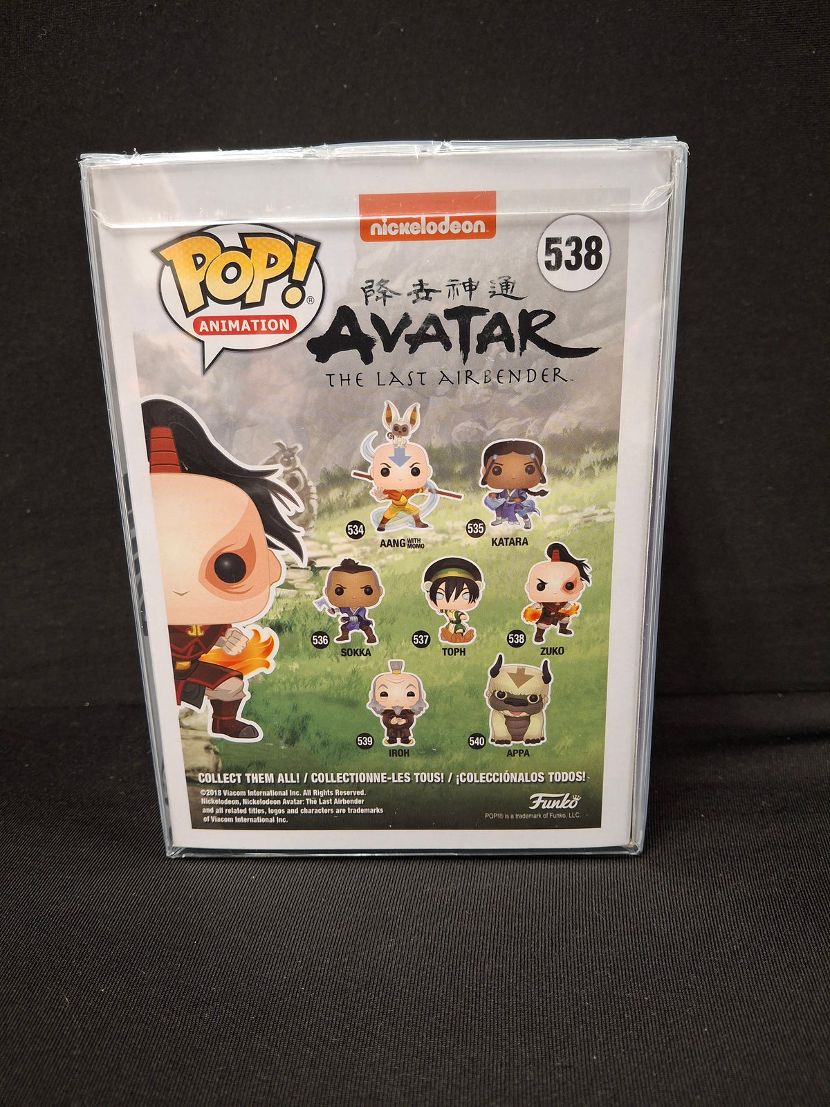 Avatar the Last Airbender - Zuko
