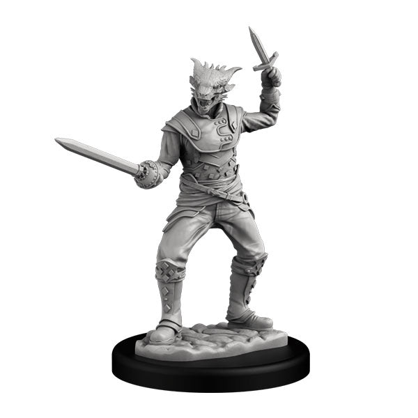 Dragonborn Swashbucklers (2)